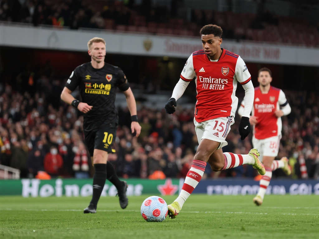 位置的布置 位置的布置